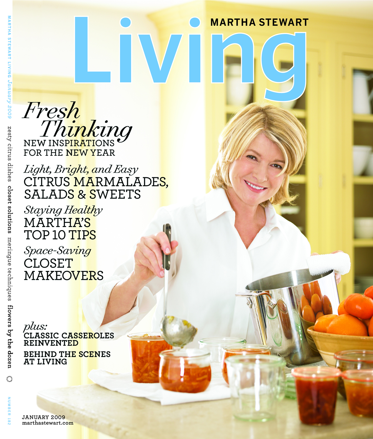marthaStewartLiving2009jan_x